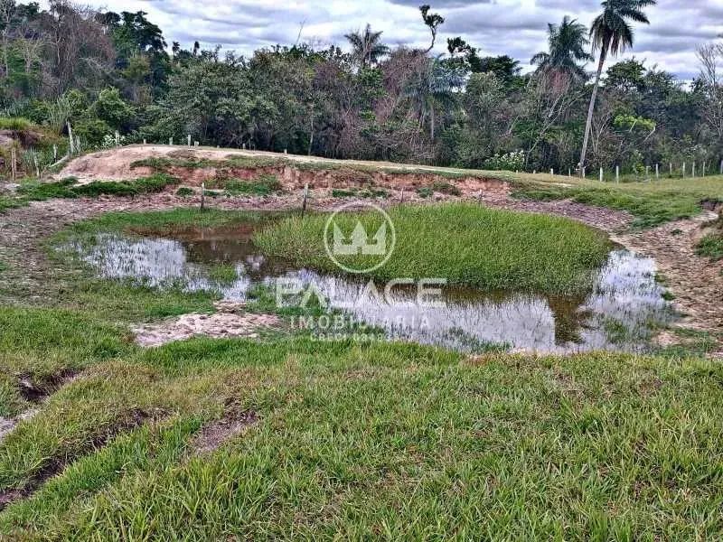 Sítio com 7 alqueires e 3 casas a venda em Conchas, SP. - Foto 3