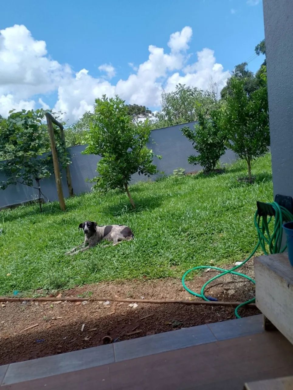 Terreno com 2 casa - Foto 4