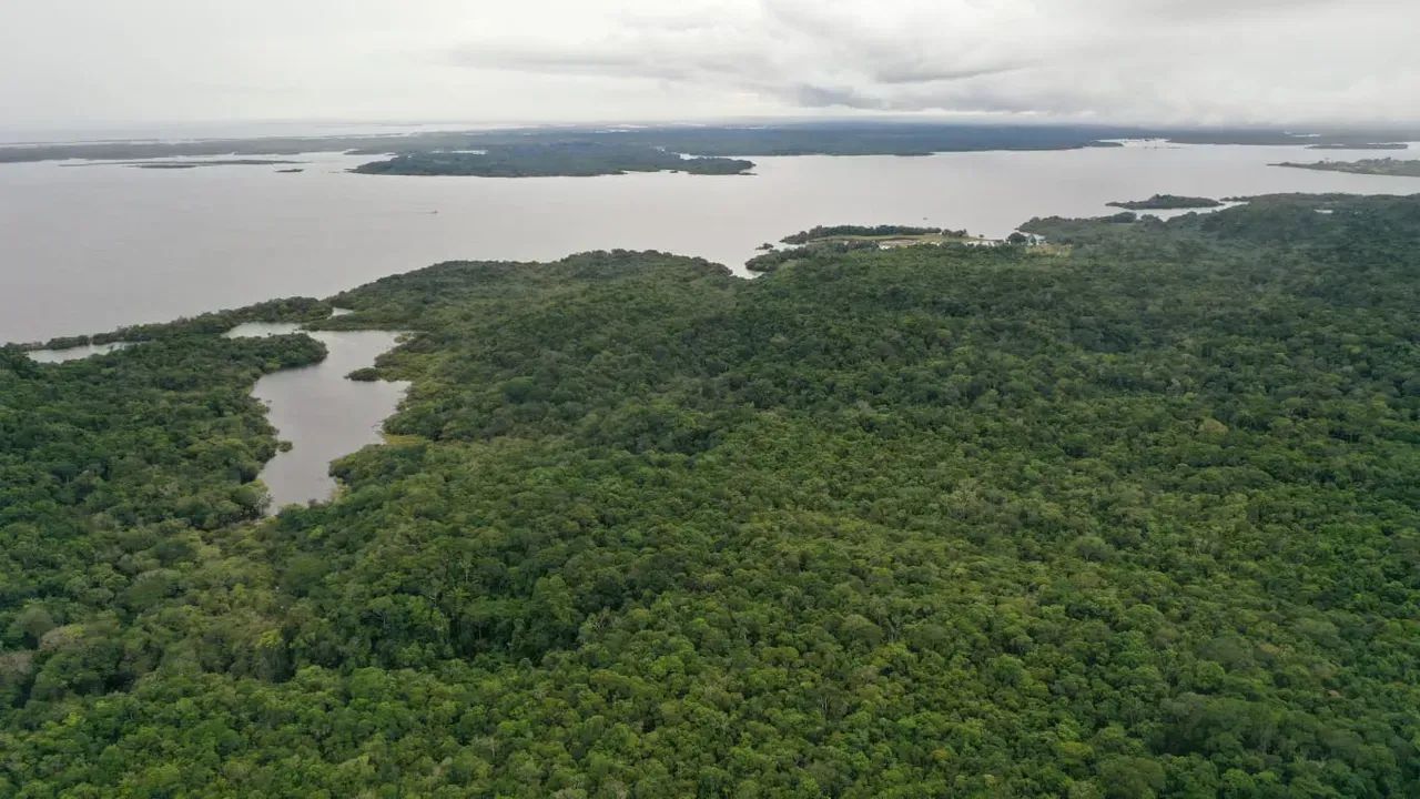 terreno em novo ayrao - Foto 3