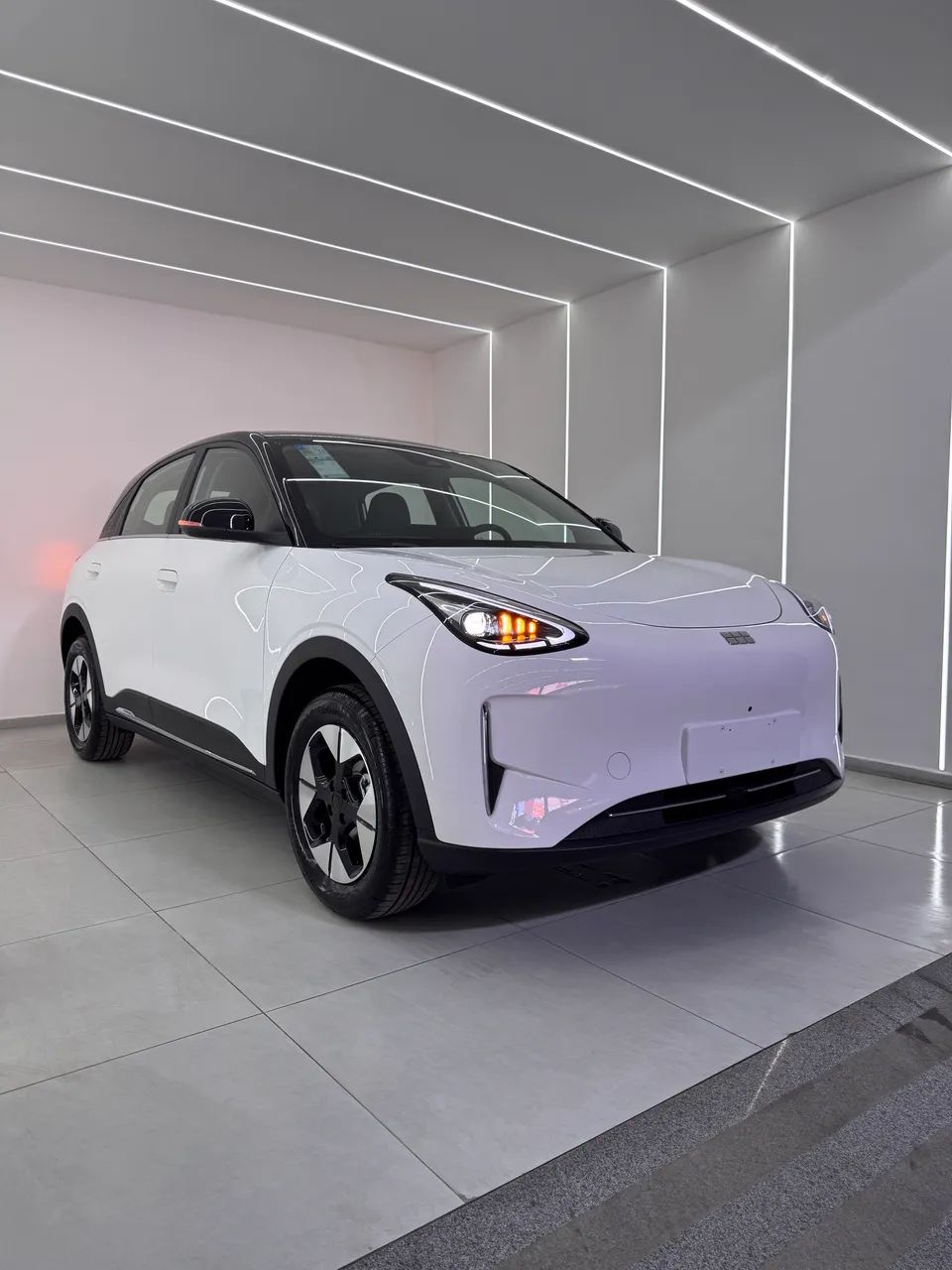 Geely EX2 Max 2026