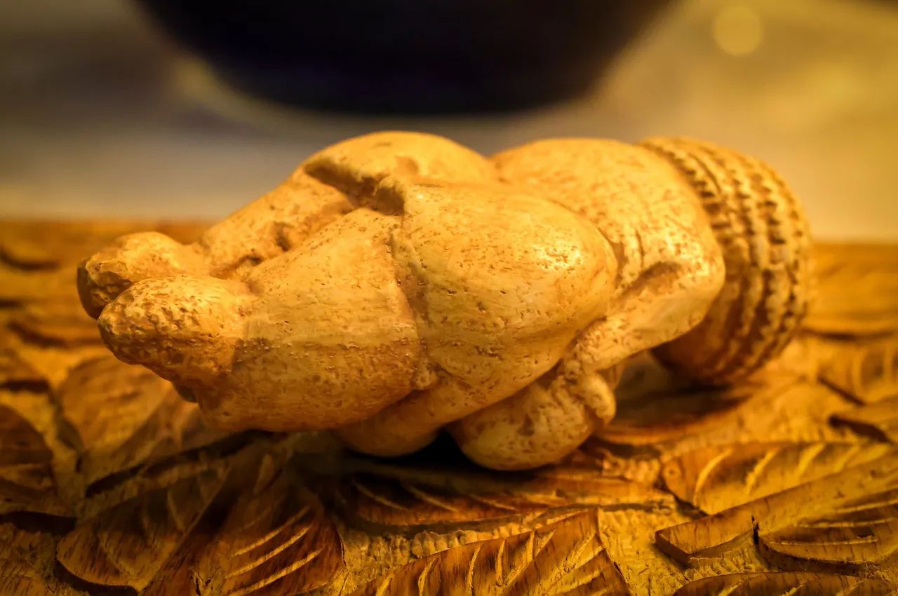 Vênus de Willendorf - Foto 5