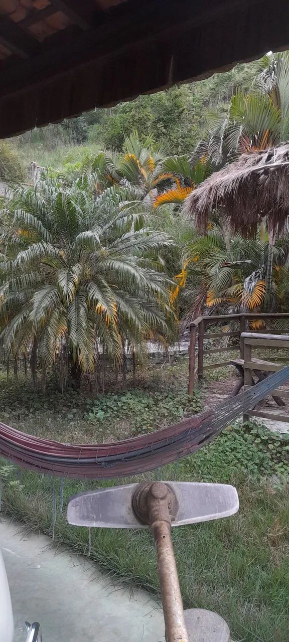 Limpeza de granjas com roçadeira 