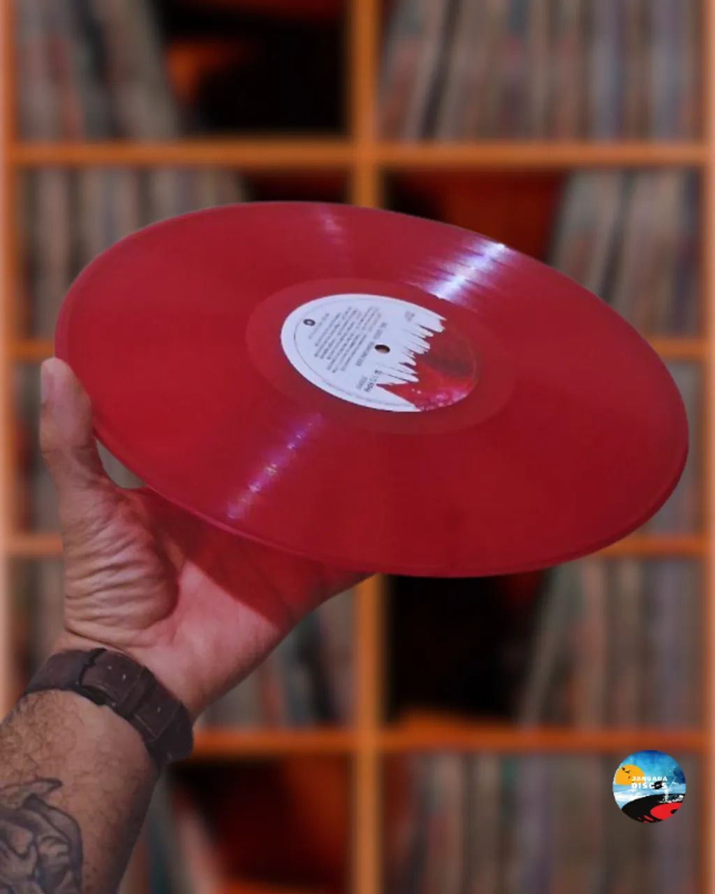 Vinil LP Gal Costa Nenhuma dor NOVO - Foto 2