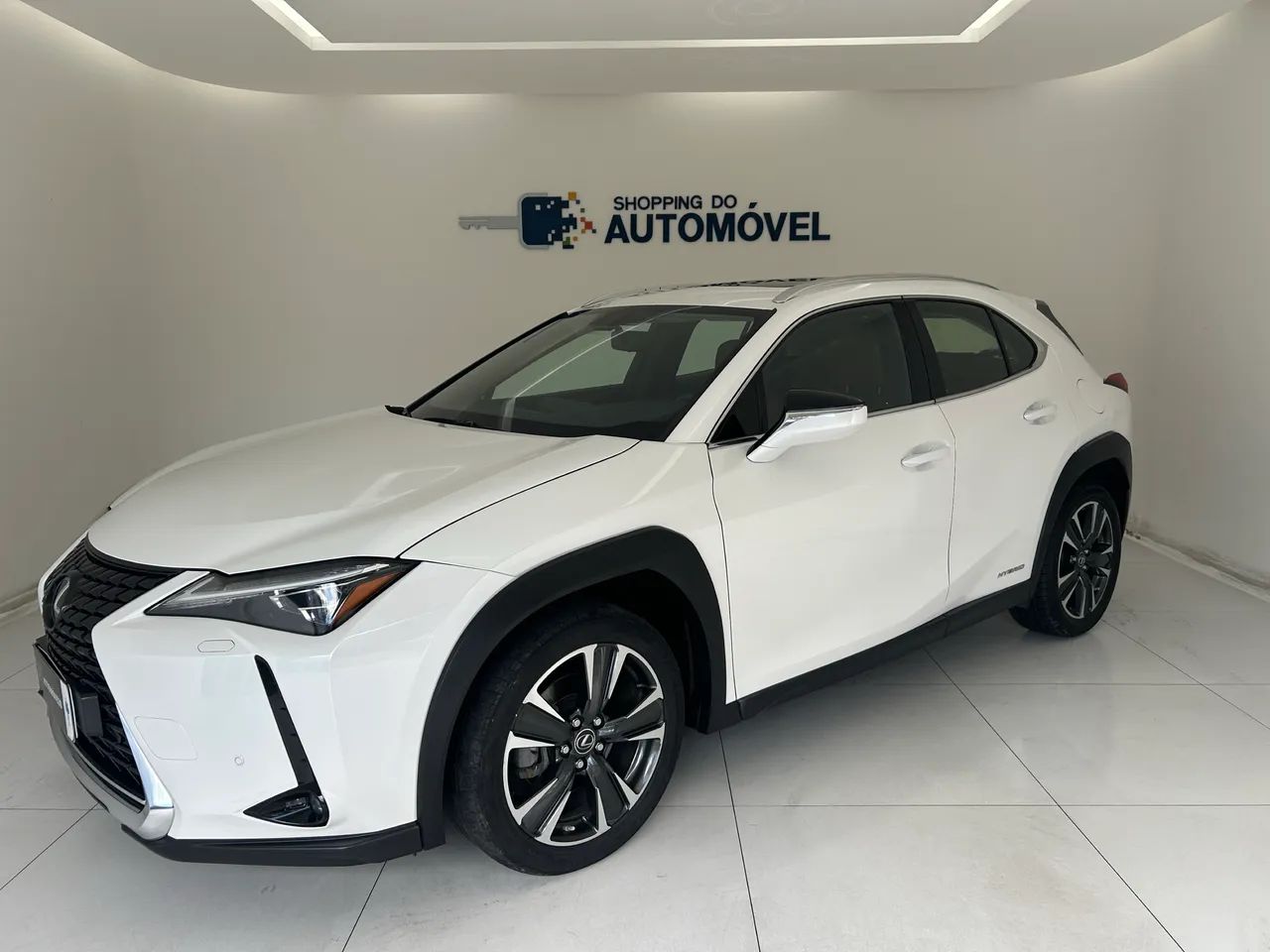 Lexus UX-250h Luxury 2.0 16V Aut.(hybrid), foto 2 de 15
