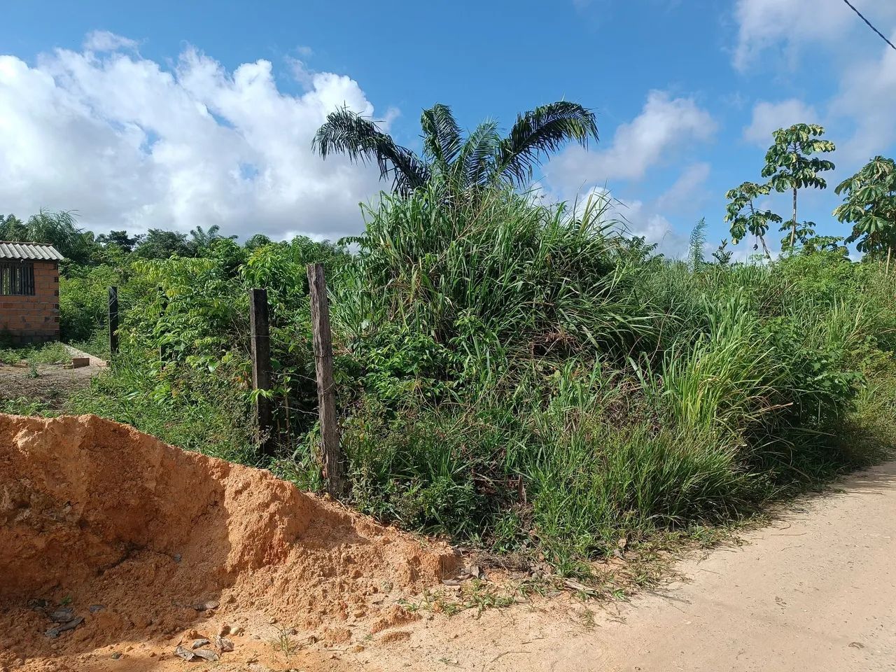 Terreno na vila do engenho  - Foto 4