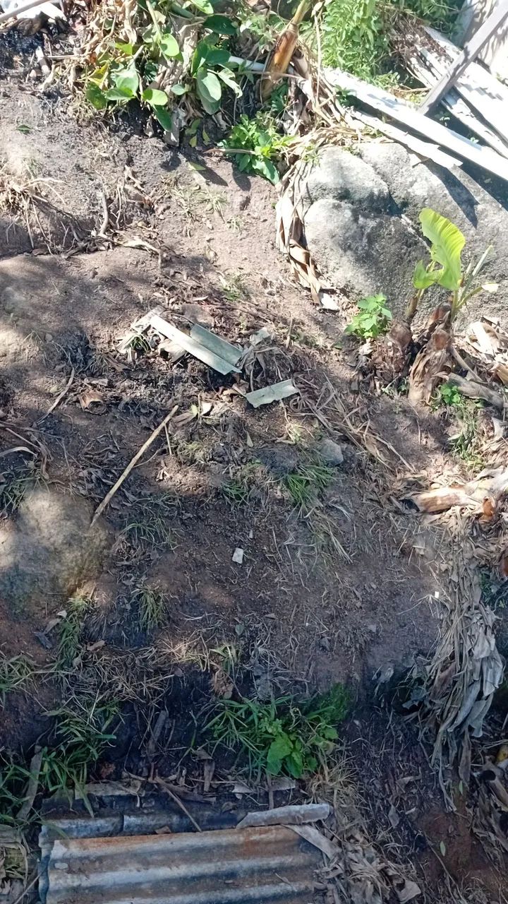 Vendo terreno 