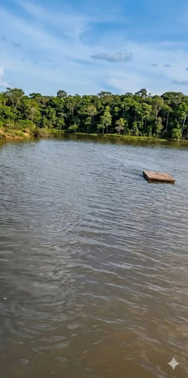 Chácara Beira Rio | 6.600m² | Escriturada | Luzimangues | Oportunidade - Foto 5