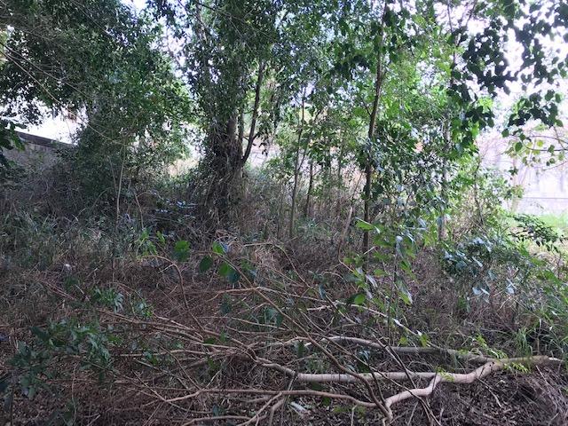 Terreno Jardim Itaúna, perto da Avenida Saquarema - Foto 2