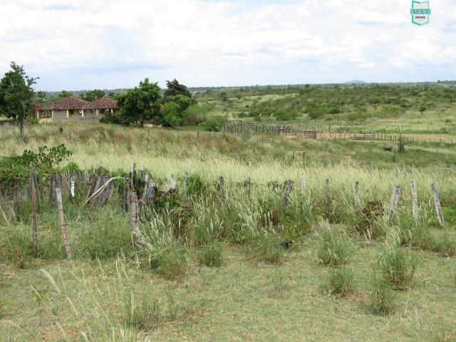 Potiraguá. Ótima fazenda pecuária de 5.100 Hectares. Media de Chuva 860 mm a 1.000 - Foto 18