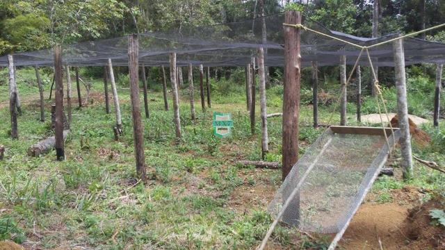 Fazenda localizada na cidade de Taperoá. - Foto 13