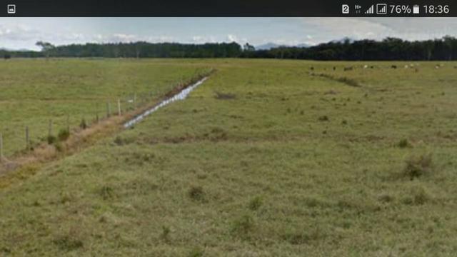 Fazenda Uma das Maiores da Região para Plantio ou Criação de Gado, Toda Plana - Foto 6