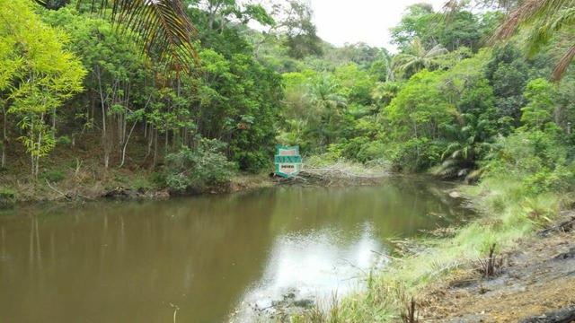 Fazenda localizada na cidade de Taperoá. - Foto 10