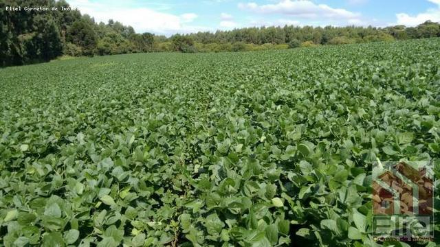 Fazenda Para Plantio de Grãos, Área Mecanizável - Foto 5