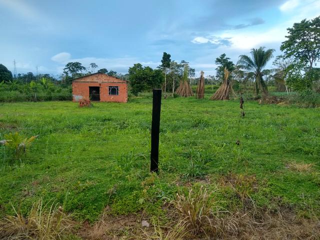 Vendo ou troco chácara na estrada do quinari ramal do cacau travessa da pupunha - Foto 2