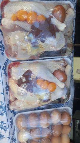 Galinhas abatidas