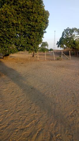Vende-se terreno em Ocara - ce ou troco em outro terreno na região de Aquiraz - Foto 7