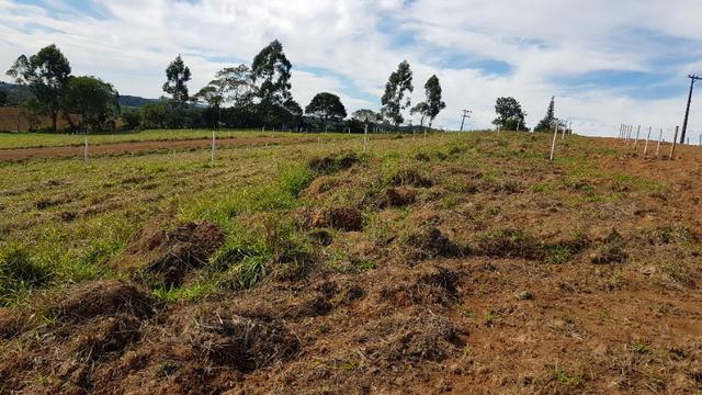 97-Terreno próximo a são Paulo - Foto 6