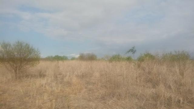 Ótima propriedade de 120 hectares, 70% plana, em Gravatá-PE. Por apenas R$ 780 mil! - Foto 3