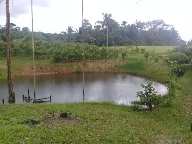 Vende-se Chácara Sentindo Acre,Com Água Natural - Foto 3