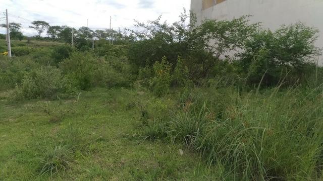 Terreno no Indianópolis à venda - Foto 2