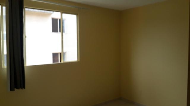 Alpinia 2qts com cond incluso - Foto 3