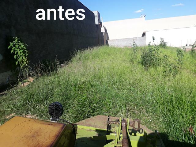 Limpeza de terrenos - Foto 3
