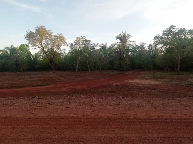 TERRENO DE 15 HECTARES PRÓXIMO DE JOSÉ DE FREITAS-PI - Foto 3
