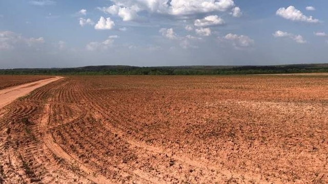 Fazenda em Rio Sono plantando lavoura. - Foto 3