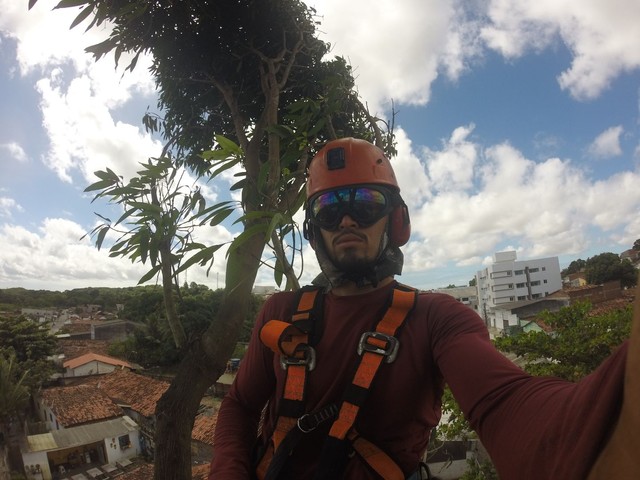 Trabalhamos com poda de árvores limpeza de terrenos e remoção de resíduos  - Foto 3