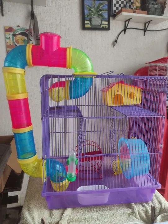 Gaiola para Roedores com Túnel
