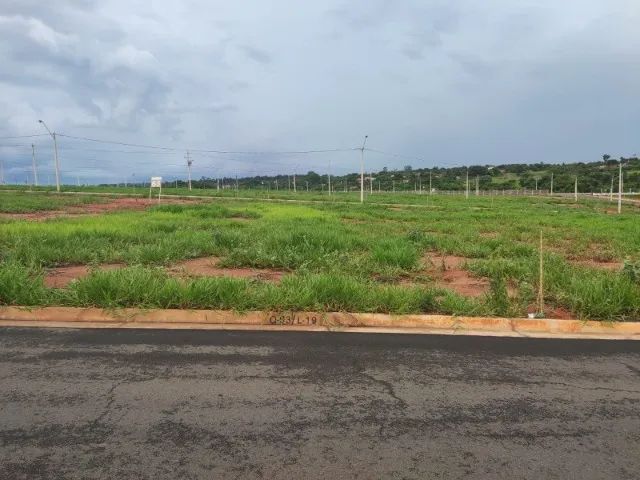 foto - São José do Rio Preto - Fazenda Palhinha (Zona Rural)