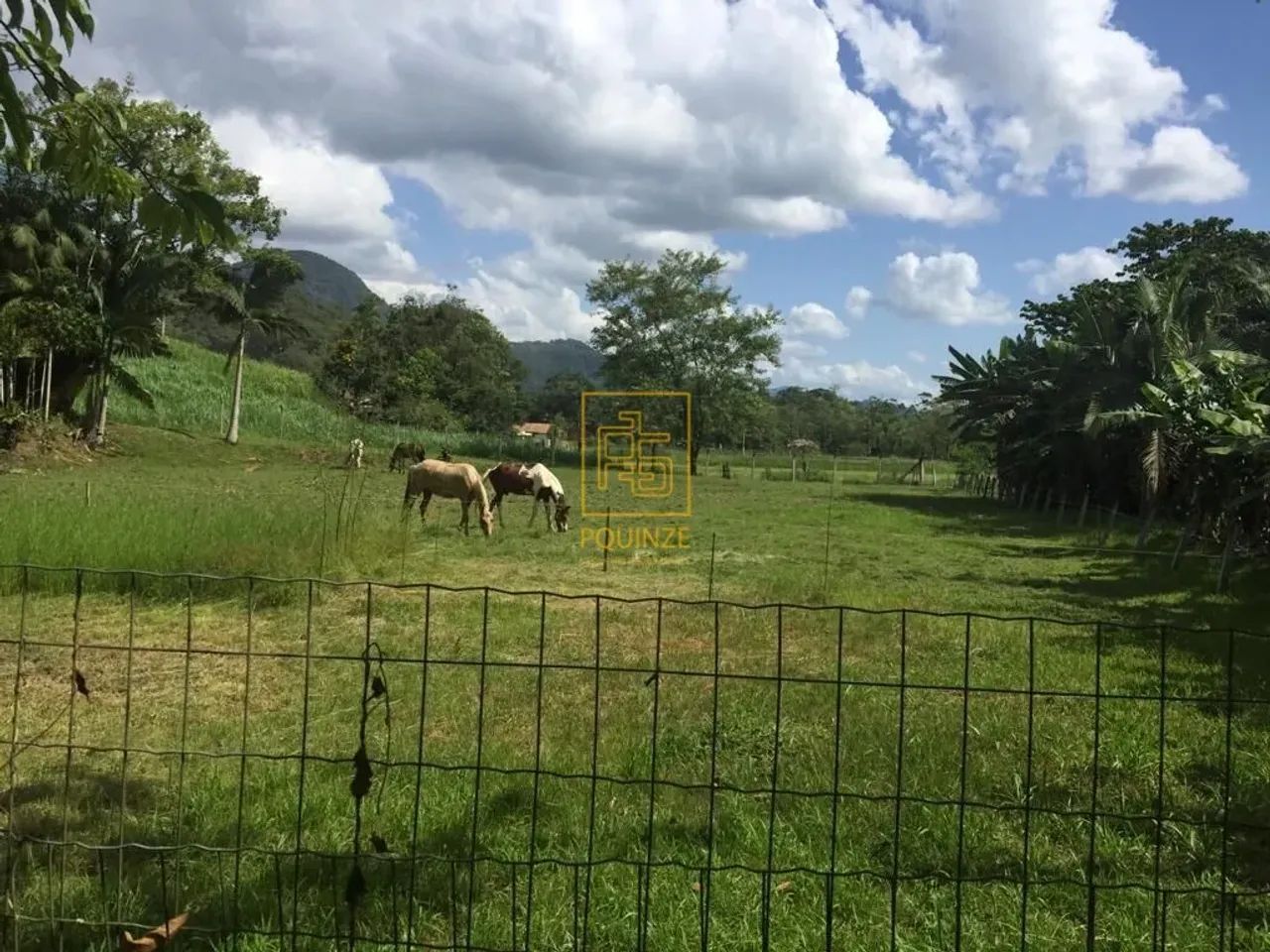 Sítio no Bairro Dona Clara em Timbó - Foto 5