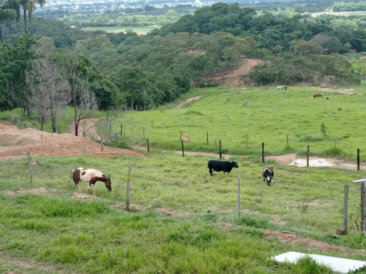 foto - Brasília - 