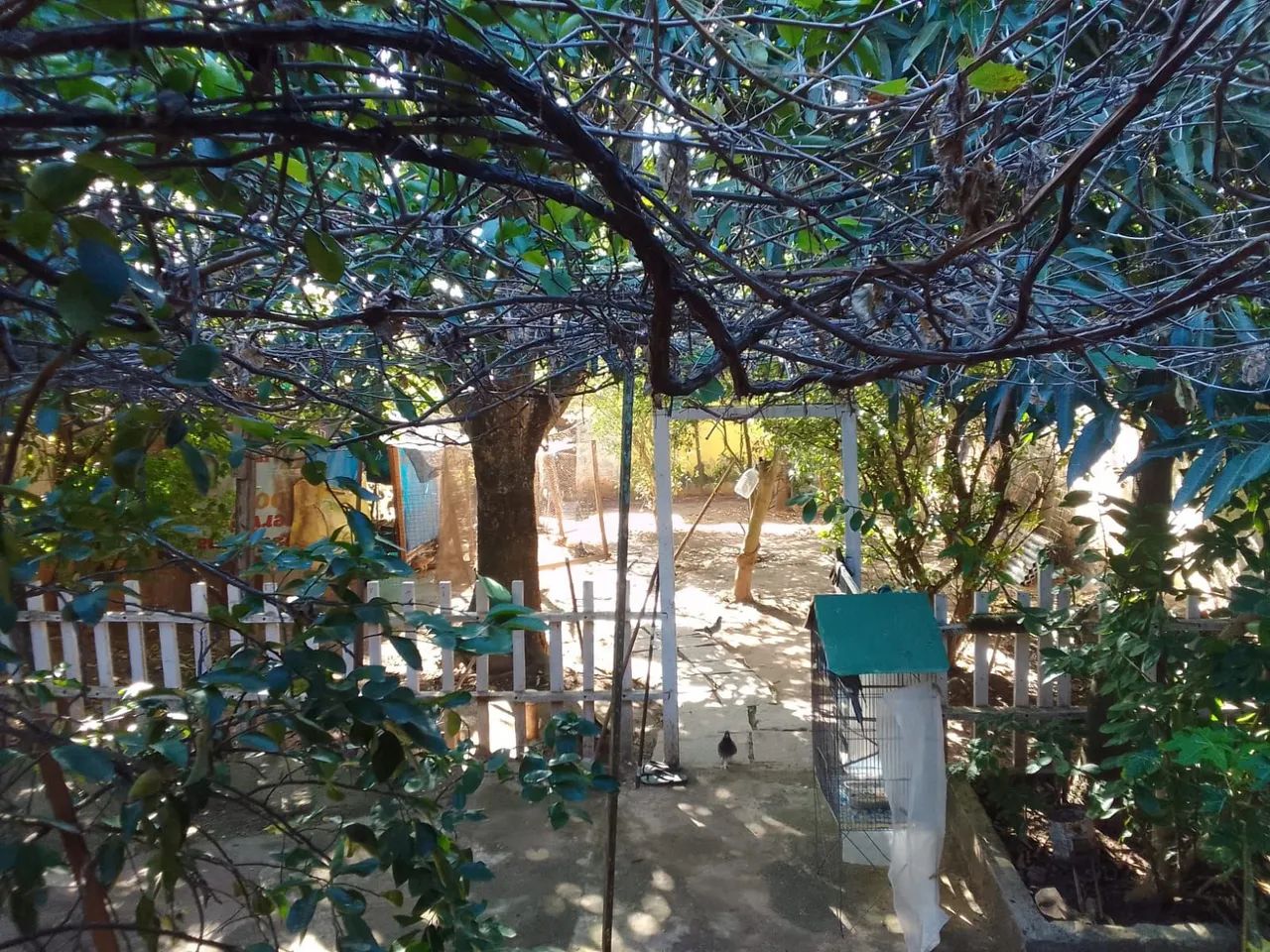 Foto - Maricá - Barroco (Itaipuaçu)