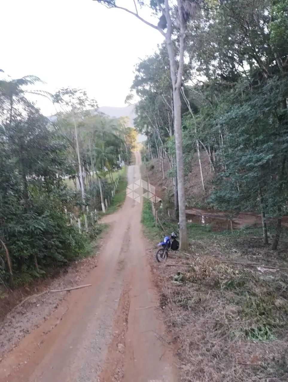 Terreno no bairro Forquilhas, em São José - SC - Foto 9