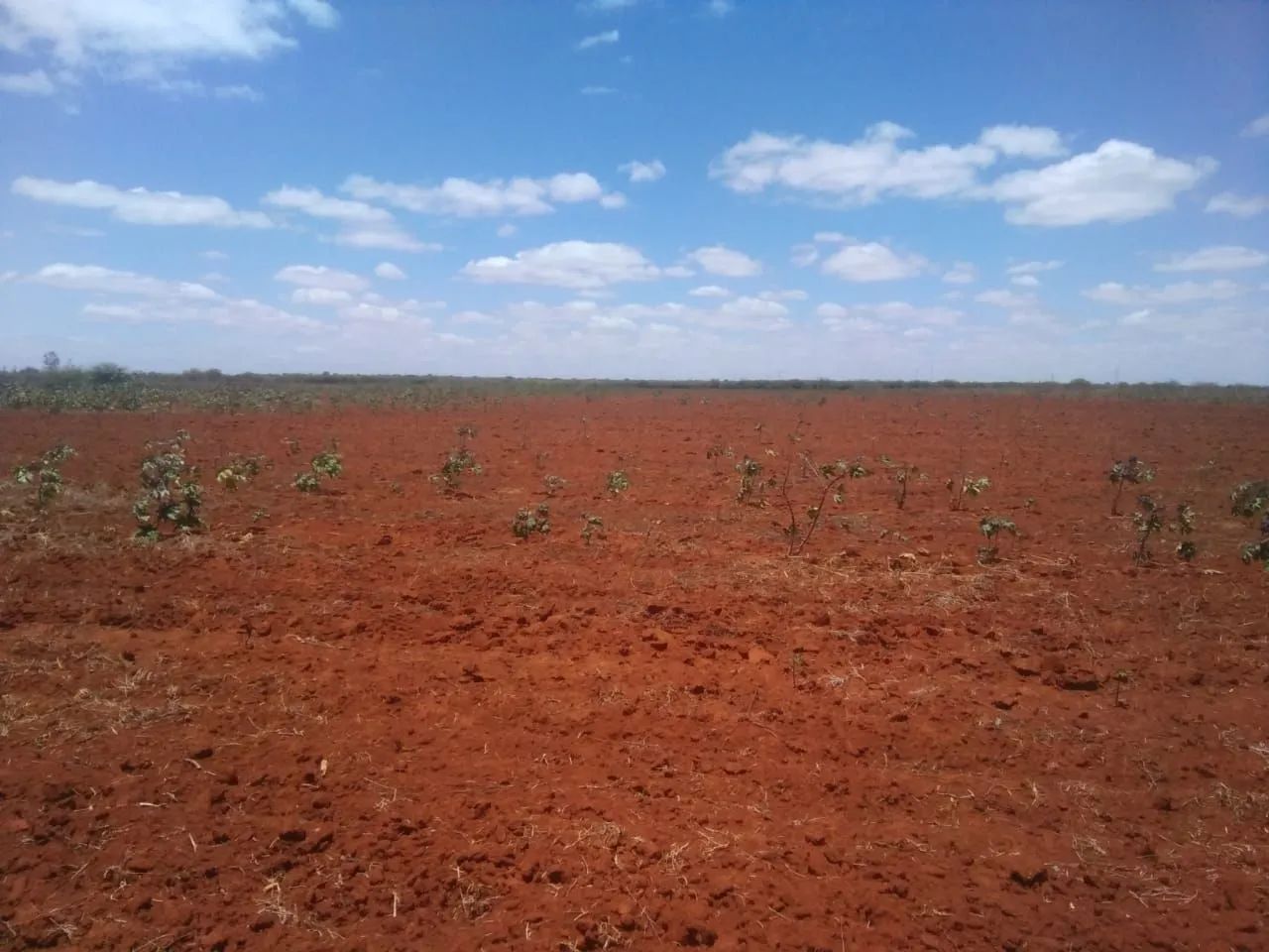 Fazenda em América Dourada - Foto 2