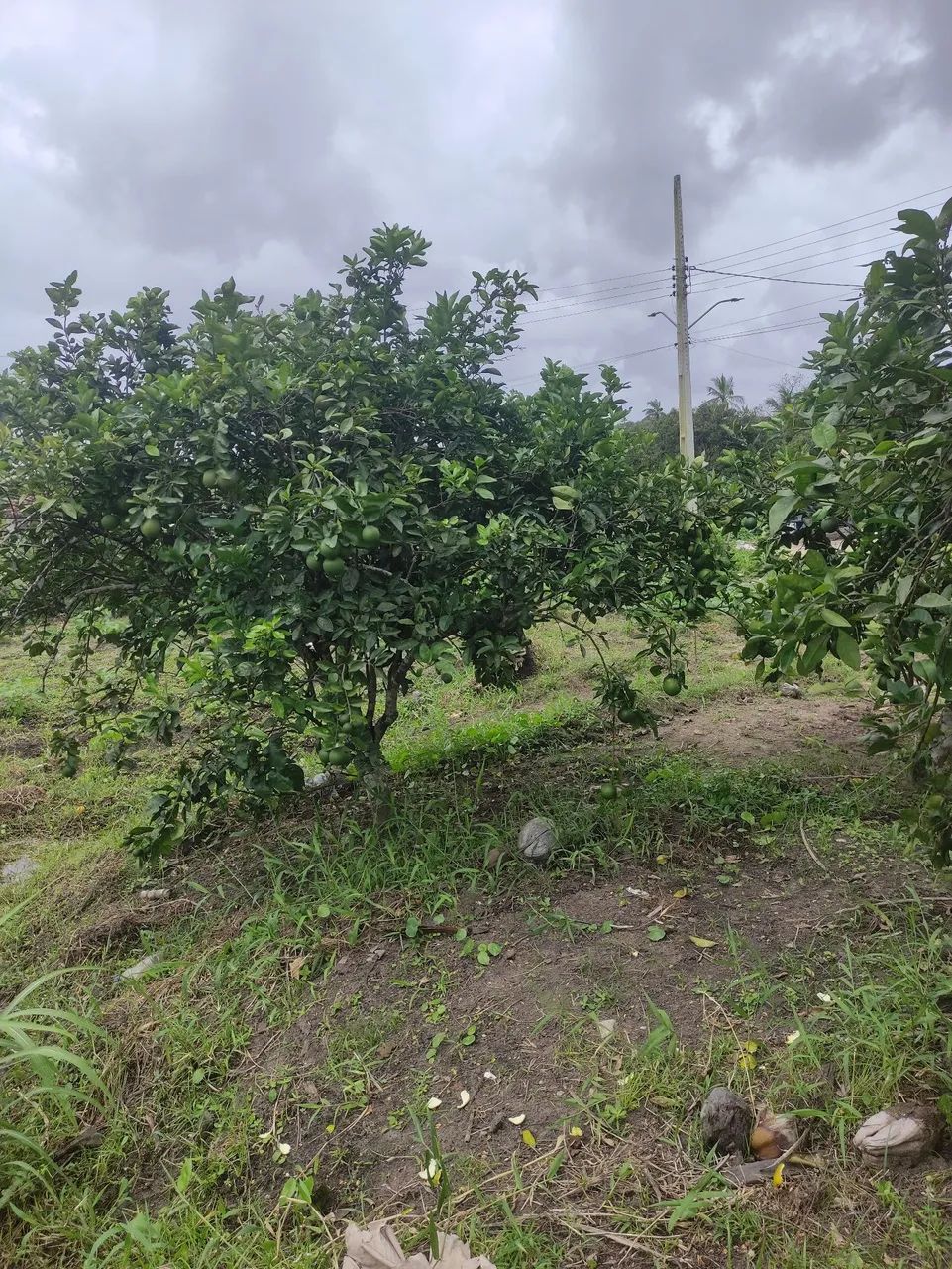 Sítio com casamuito bom na cidade  - Foto 6