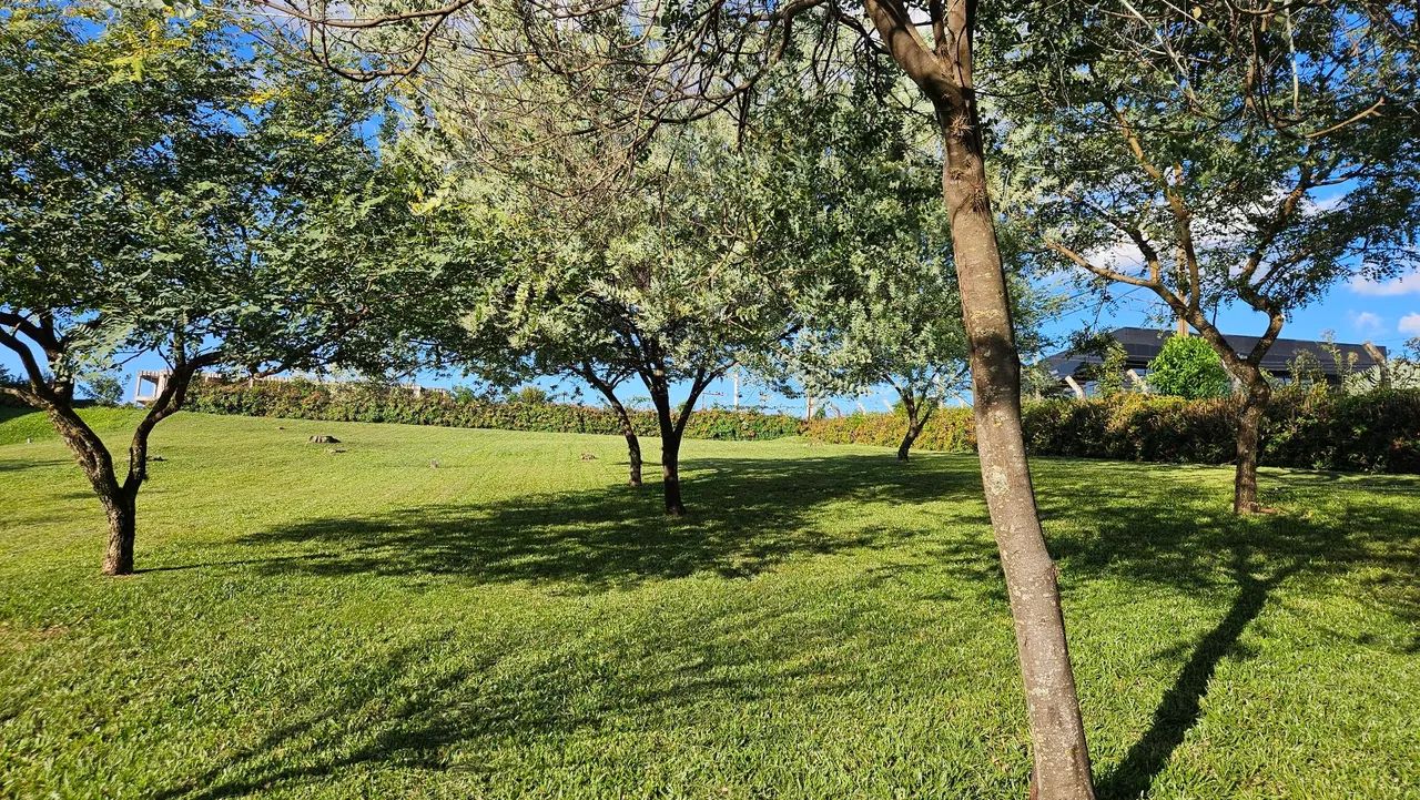 Paisagismo e implantações, e recuperação  - Foto 2