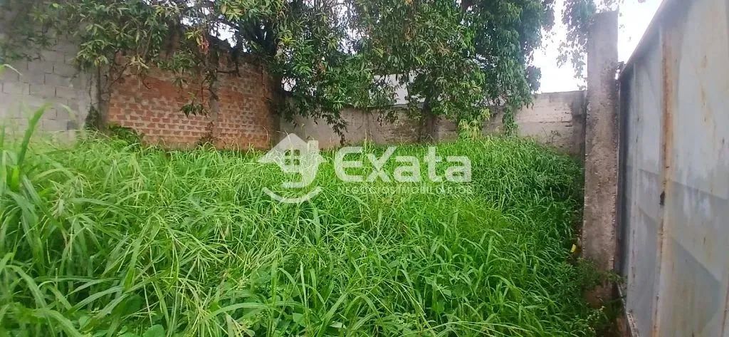 Terreno para venda na Zona Leste - Foto 5