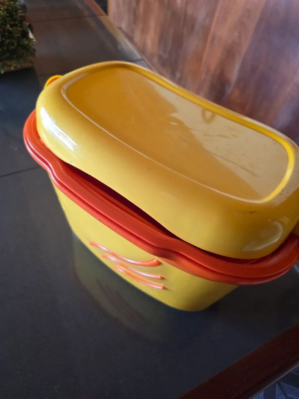 Geleira amarela - Foto 3