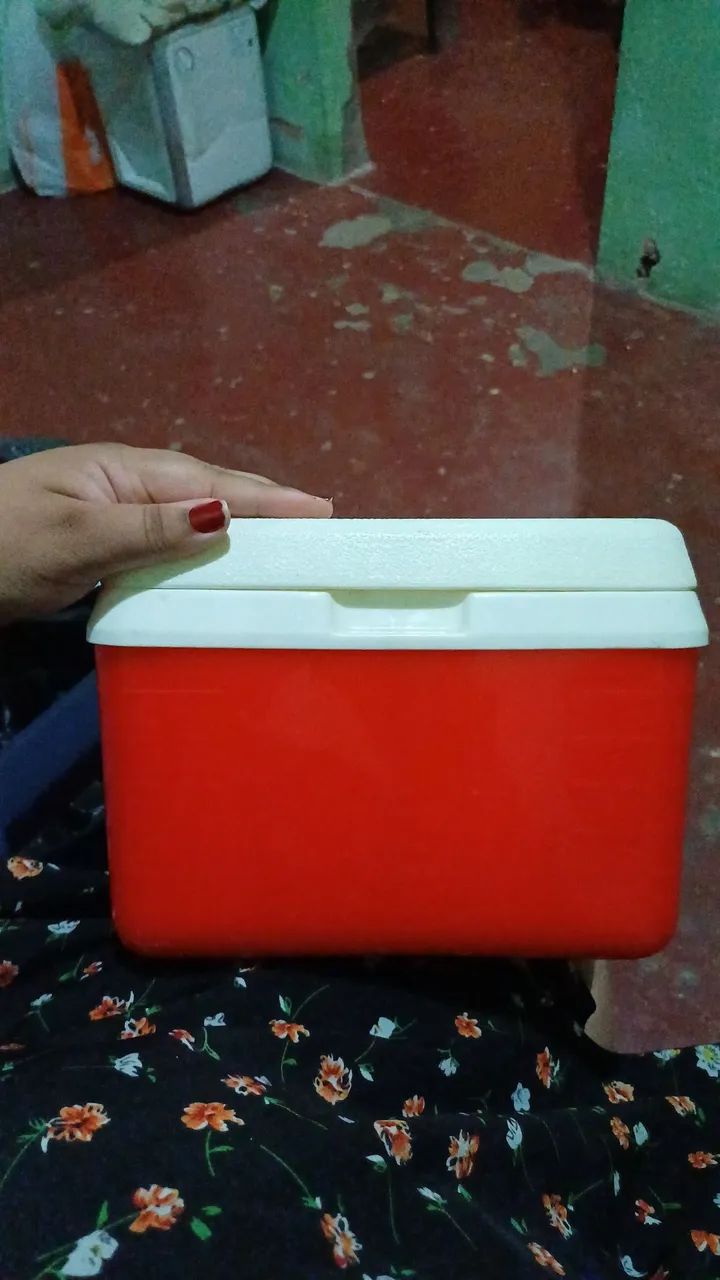 Ice box 64305328003713120