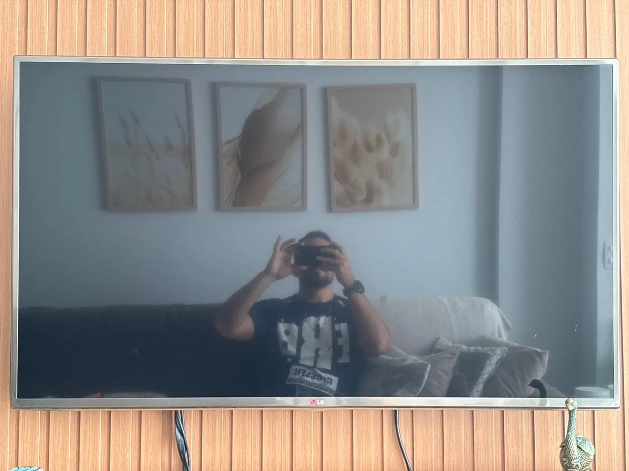 TV LG 3D, com problema na imagem