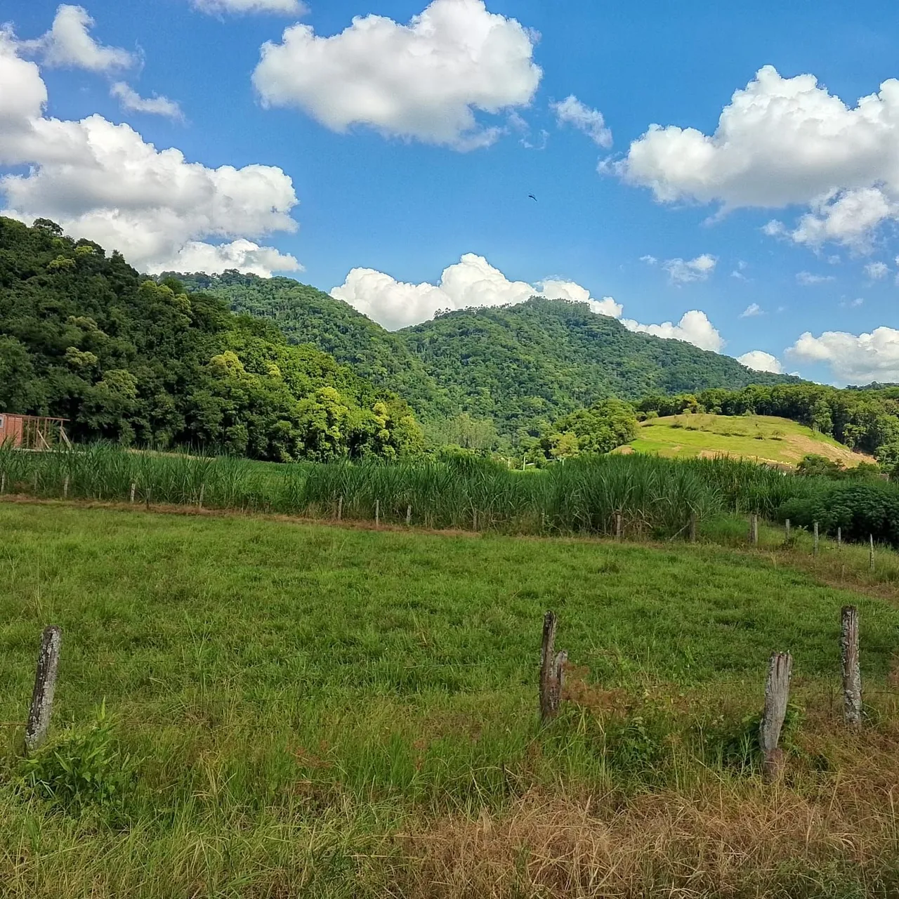Vendo terreno em Pomerode