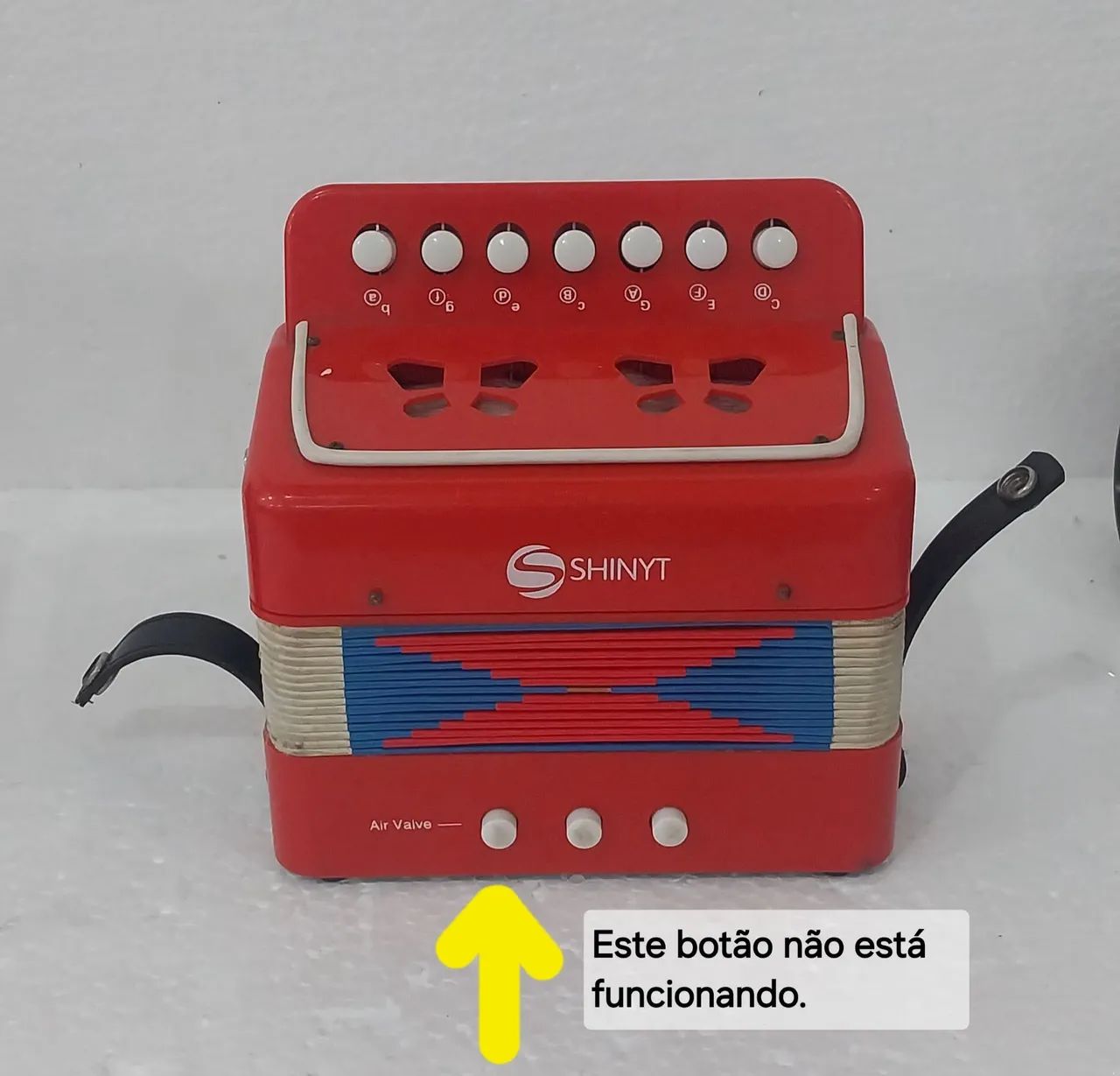 Acordeão Infantil Hero e Shinyt - Foto 2