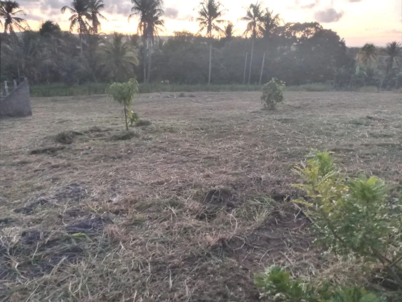 Terreno dividido em 6 lotes no sapé itaporanga  - Foto 4