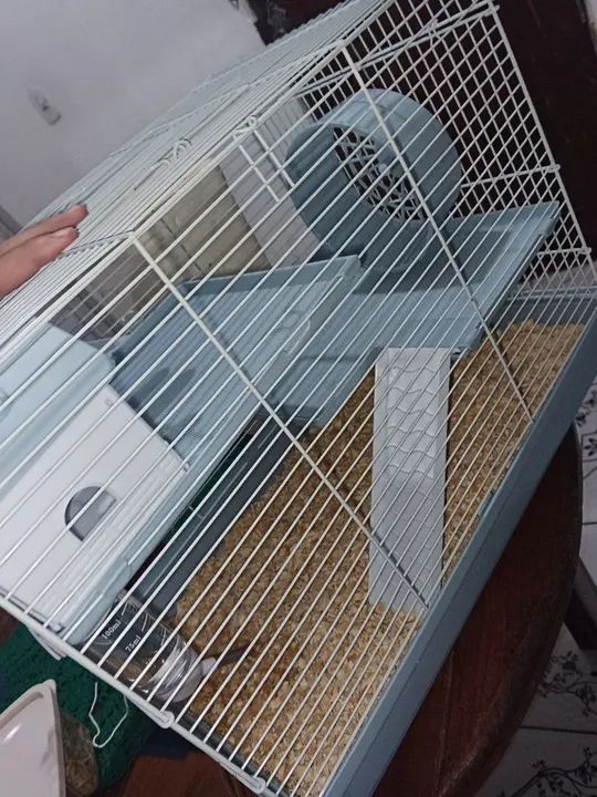 Mansão pra roedores  - Foto 2