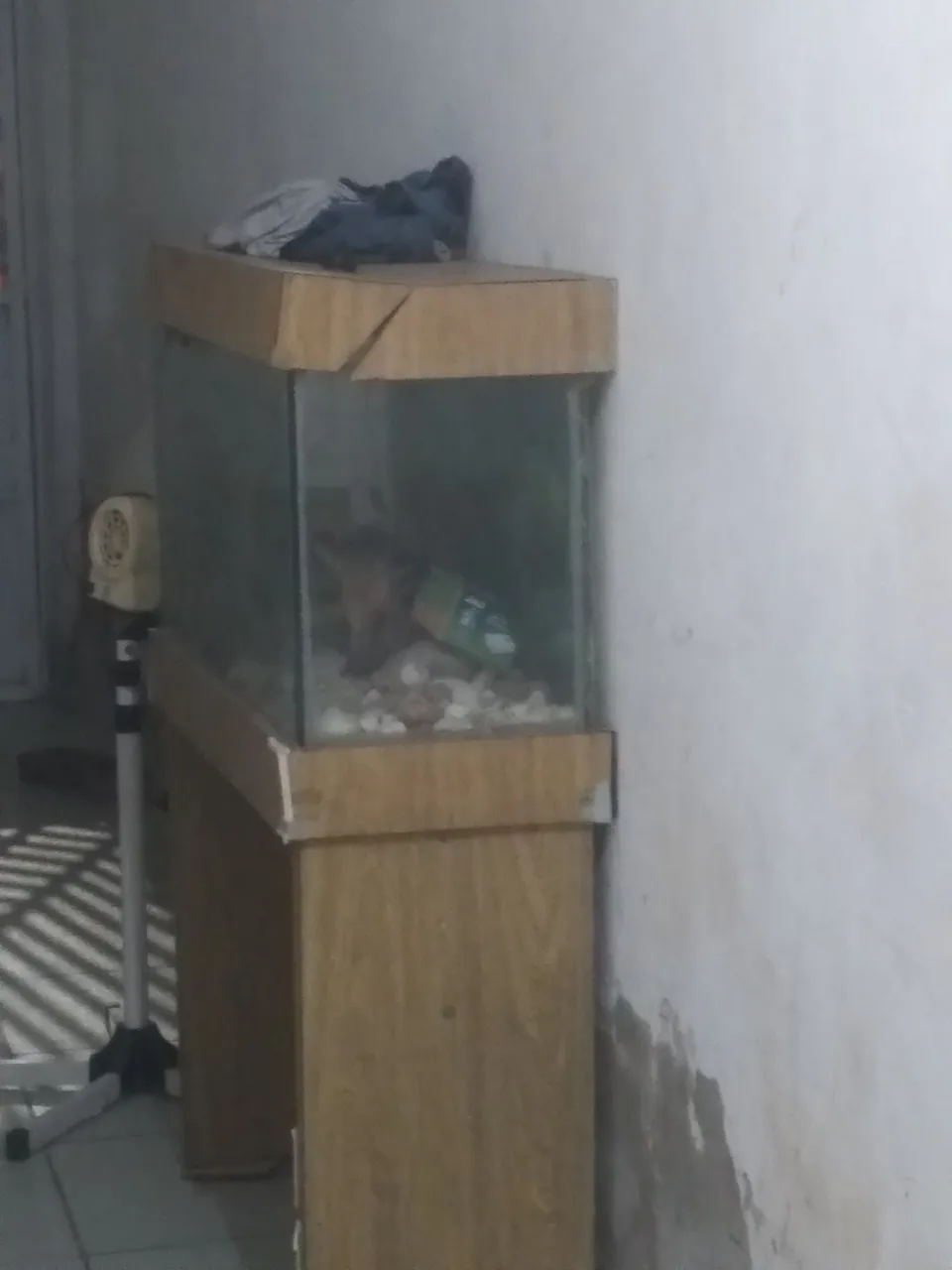 Aquário Decorativo Usado cemi novo i bo.m de mais