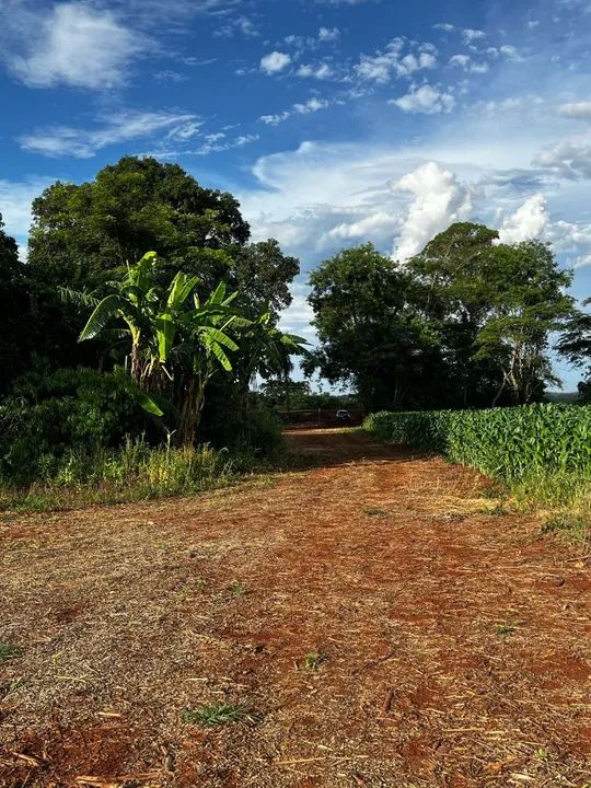 Chácara em Dourados, à 20km de Dourados e 20km de Fátima do Sul - Foto 3