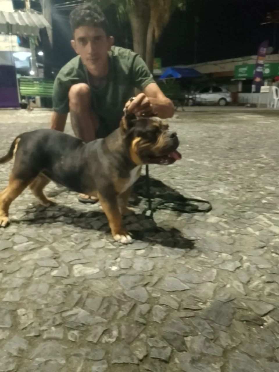 Bully micro disponível para cobertura