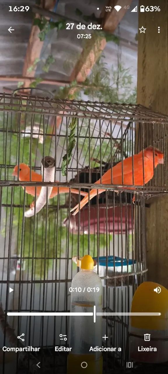 Disponíveis  - Foto 5